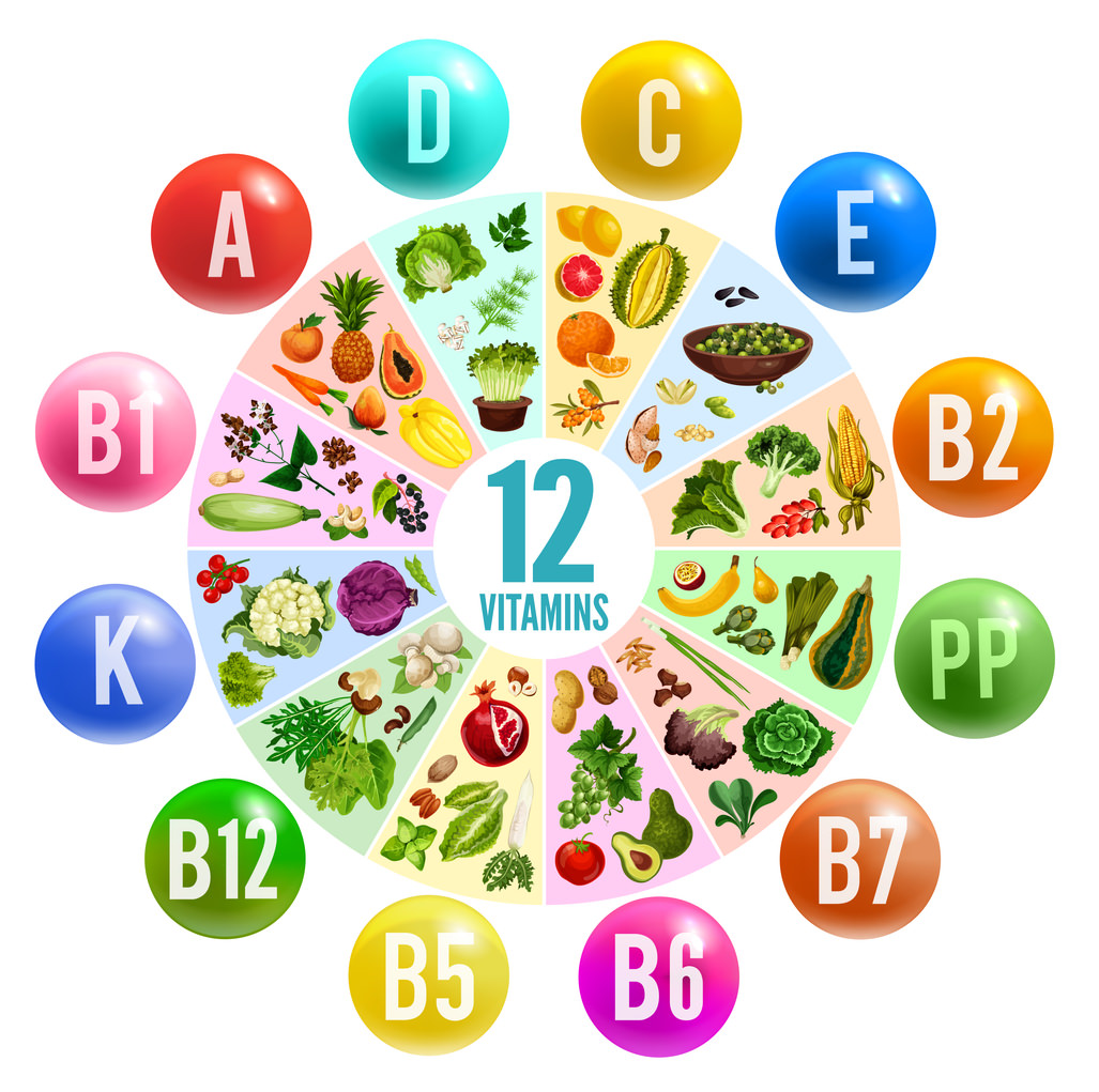 Die Vitamine von A bis E - Bauch.de - Vitamine D In Welke Groenten En Fruit