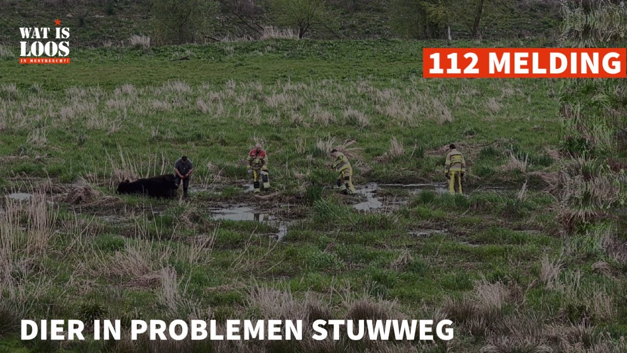 Deel Van Een Mast 2 Letters