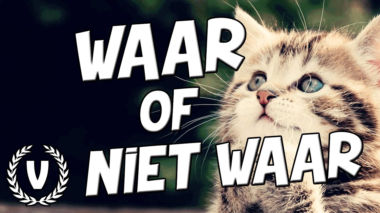 "Dieren!" - WAAR of NIET WAAR - YouTube - Waar Of Niet Waar Vragen Grappig