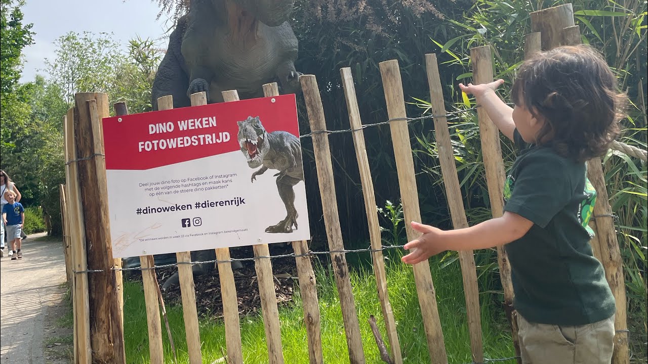 Dierenrijk mierlo dierentuin🦁 - YouTube - Dierenrijk Heiderschoor 24 5731 Rg Mierlo