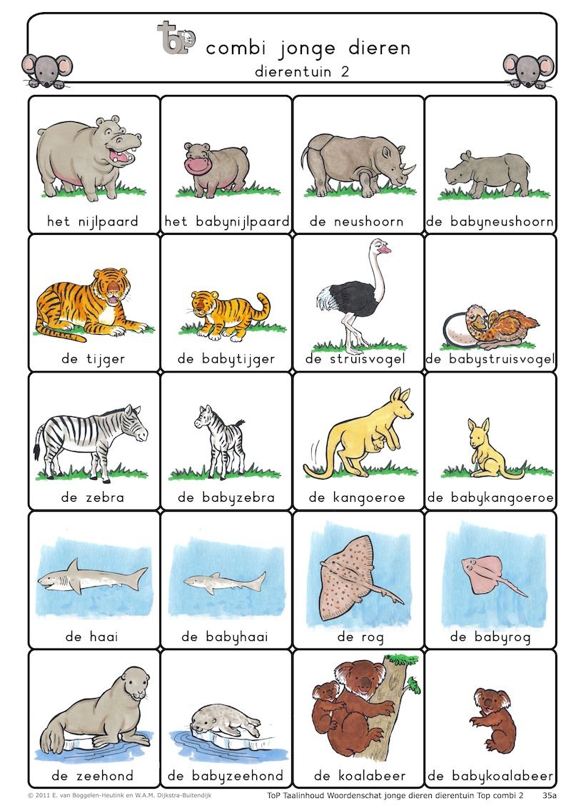 dierentuin dieren plaatjes - Google zoeken Learn Dutch, Dutch Language - Sem En De Voorbeeld Dieren