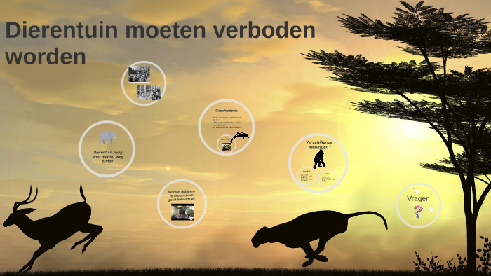 Dierentuin moeten verboden worden by My Linh Ly on Prezi - Waarom Moeten Dierentuinen Verboden Worden