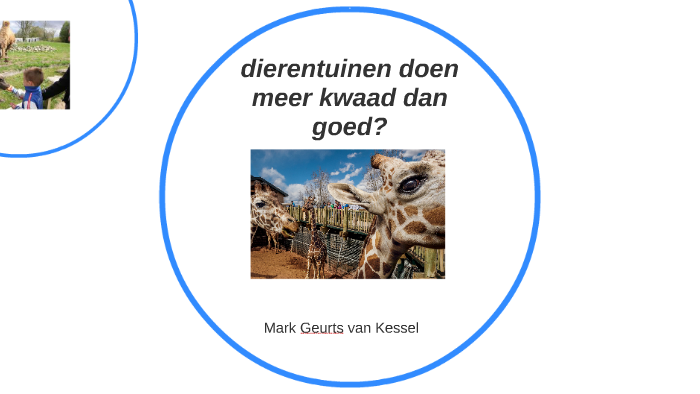 Dierentuinen Doen Meer Kwaad Dan Goed