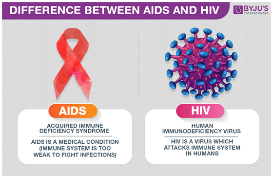 Difference Between AIDS and HIV - A Detailed Overview - Wat Is Het Verschil Tussen Hiv En Aids
