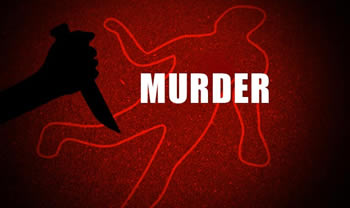 Difference between Murder and Assassination | Murder vs Assassination - Murder She Wrote Murder She Wrote
