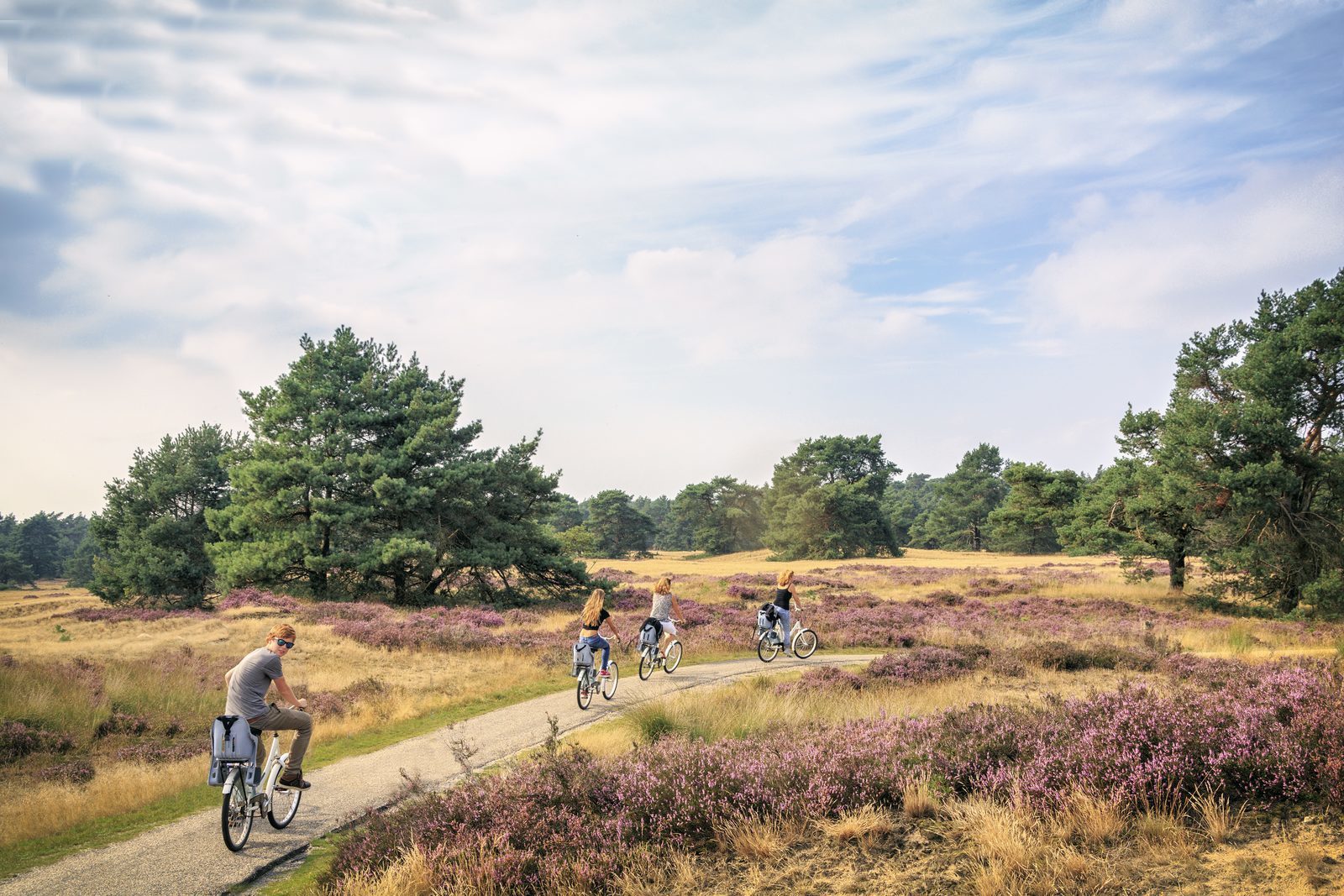 Discover De Hoge Veluwe National Park at TopParken - Fietsen In Park De Hoge Veluwe