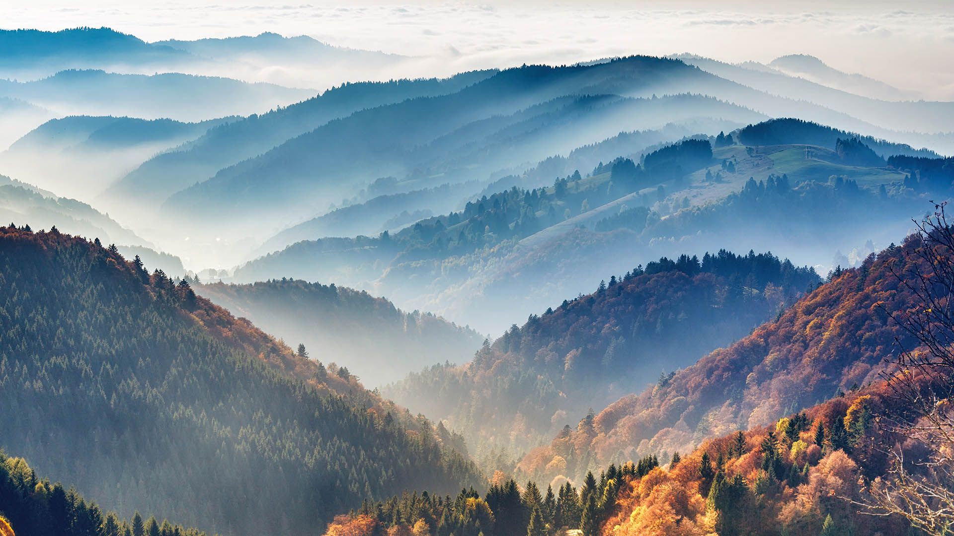 Discover the mountains and valleys of the fabulous Black Forest in - Hoogste Berg In Het Zwarte Woud