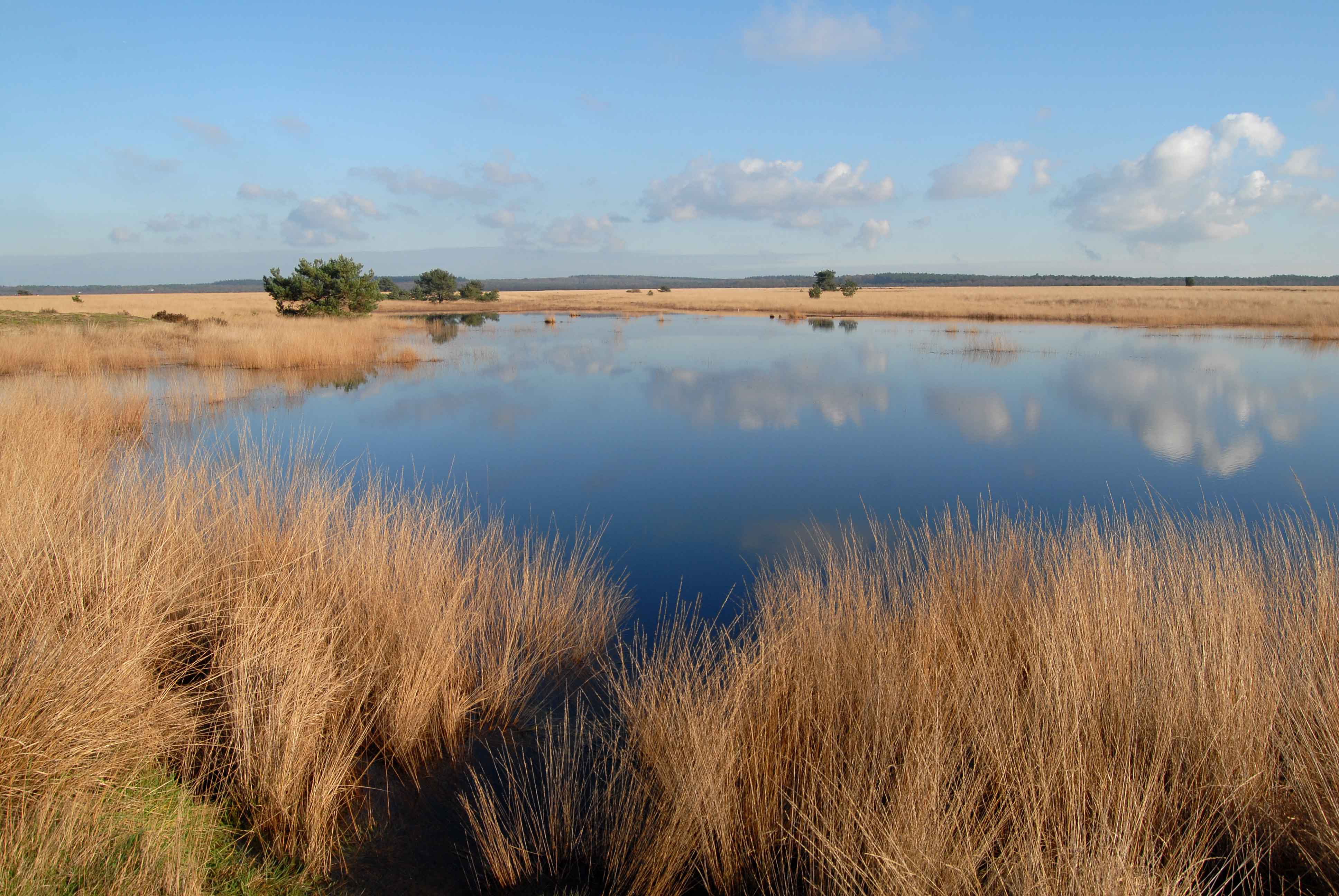 Discover the Park — Park Hoge Veluwe - Nationaal Park De Hoge Veluwe Ede