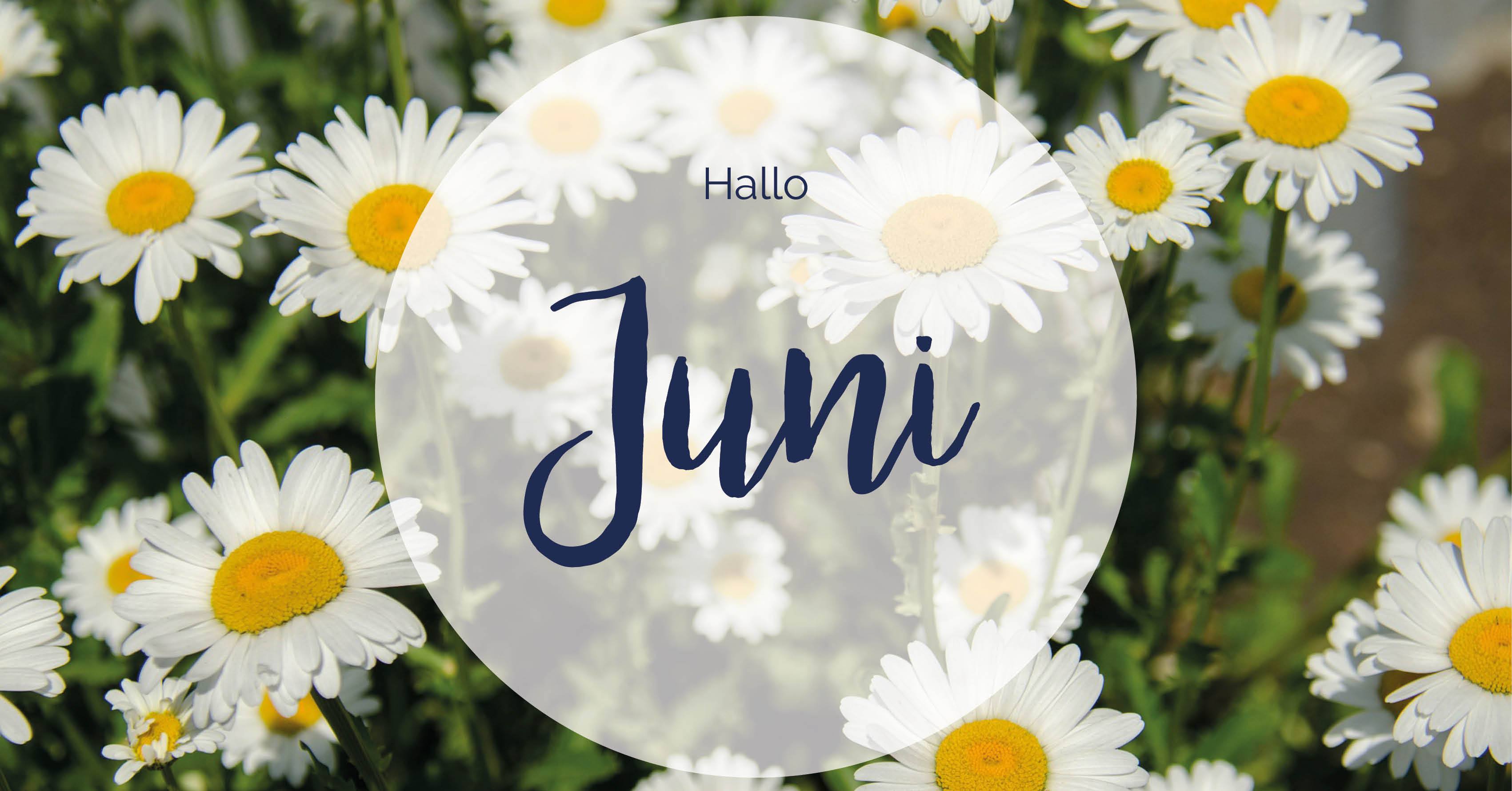 Dit is wel echt mijn maand.... - Yoors - 21 Juni Begin Van De Zomer