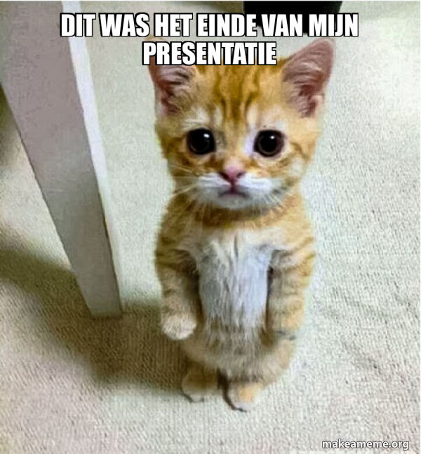 Dit Was Het Einde Van Mijn Presentatie - Cute Cat Standing Meme Generator - Dit Was Het Einde Van Mijn Presentatie