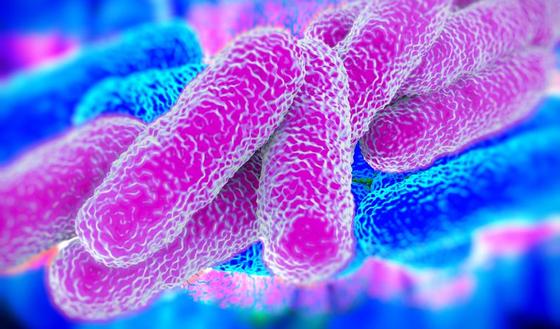Is Een Bacteriele Infectie Besmettelijk