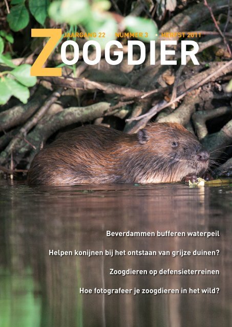 Dit Zoogdier Komt Zelden Op De Grond