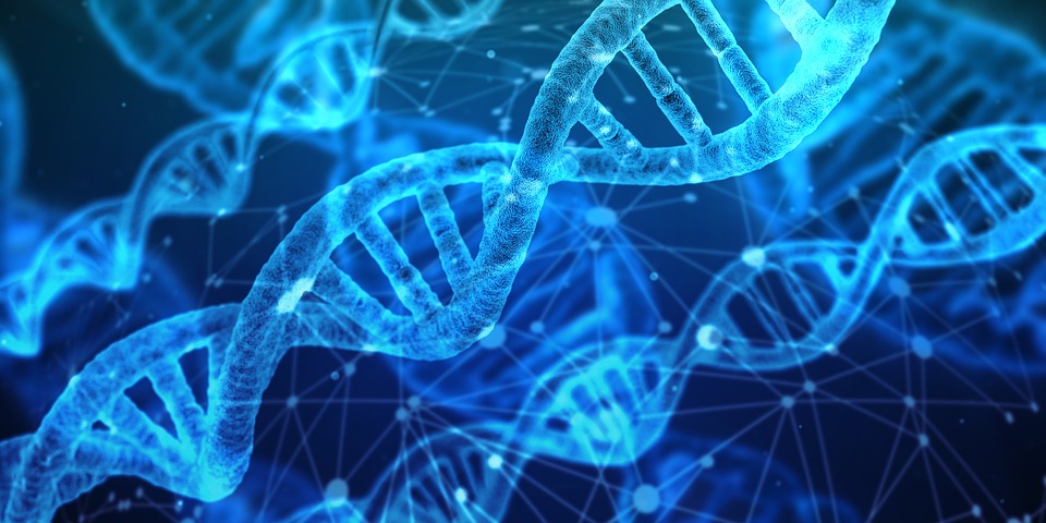 Biologie En Medisch Laboratorium Onderzoek