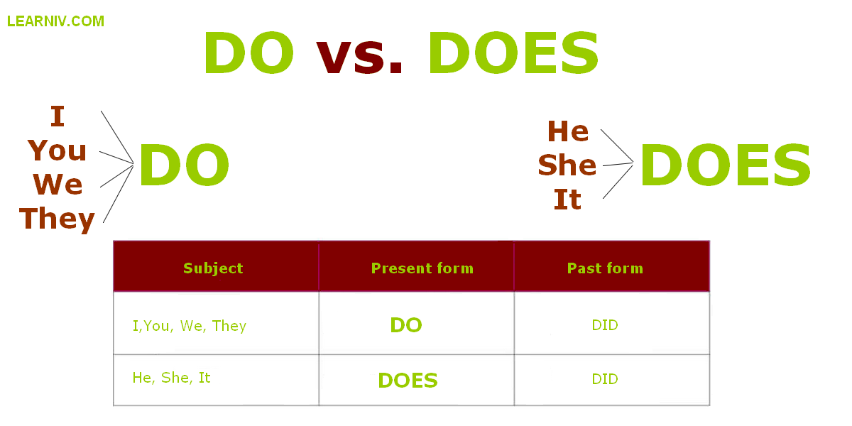 Do E Does Exercícios - BRAINCP - Does She Like Me Quiz