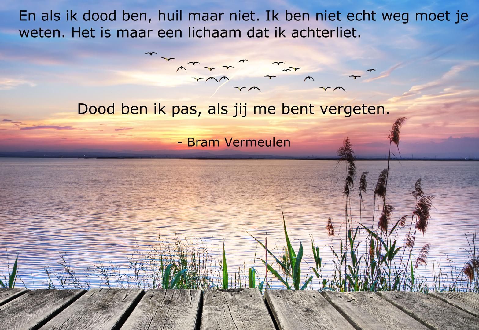 Dood ben ik pas, als jij me bent vergeten. - Bij Welke Lichaamstemperatuur Ga Je Dood