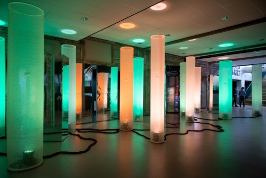 Door het bos de bomen niet meer zien - Museum Boijmans Van Beuningen - Door Het Bos De Bomen Niet Meer Zien