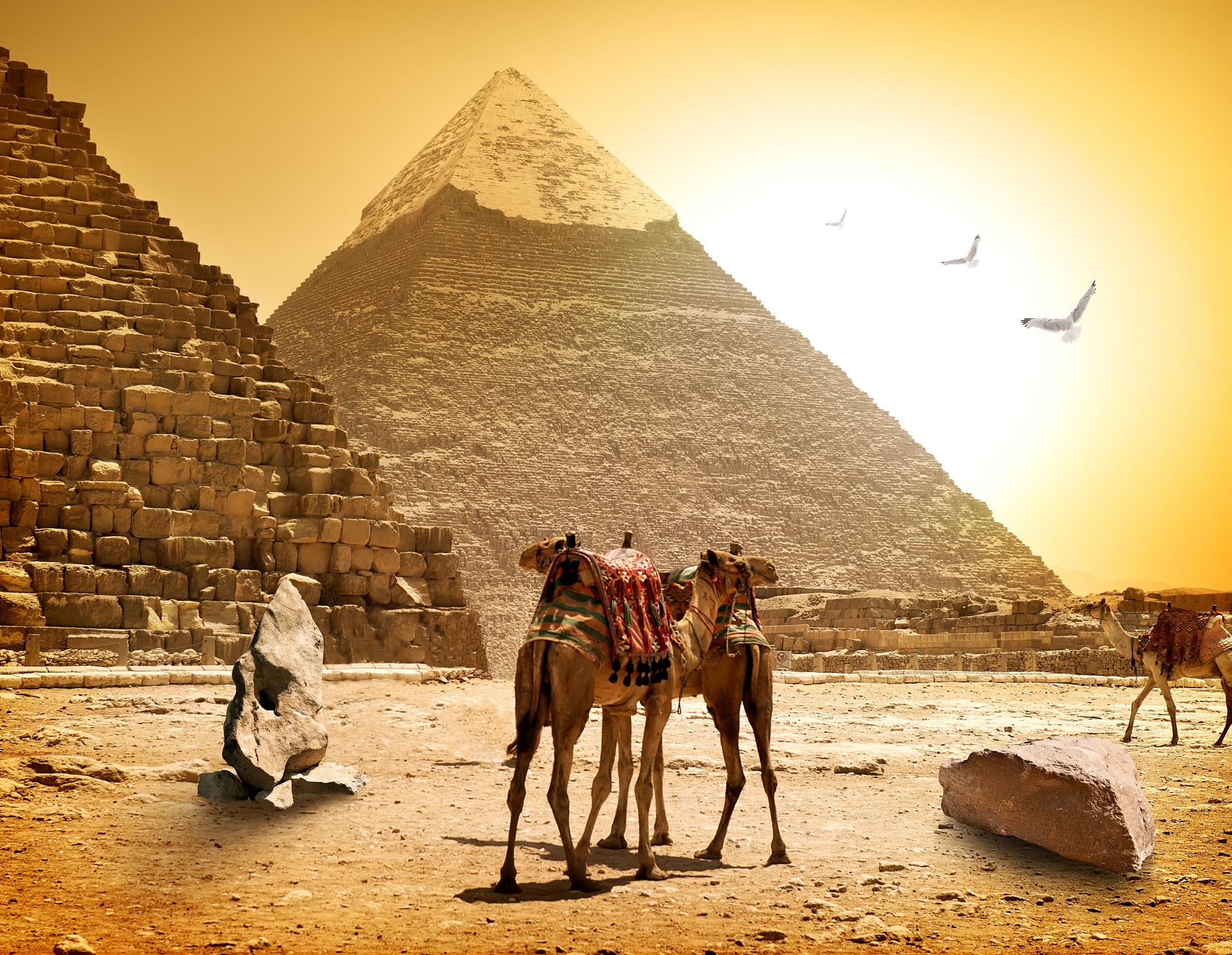 Download Egyptian Camel Man Made Pyramid HD Wallpaper - Wat Is De Geschiedenis Van Italië