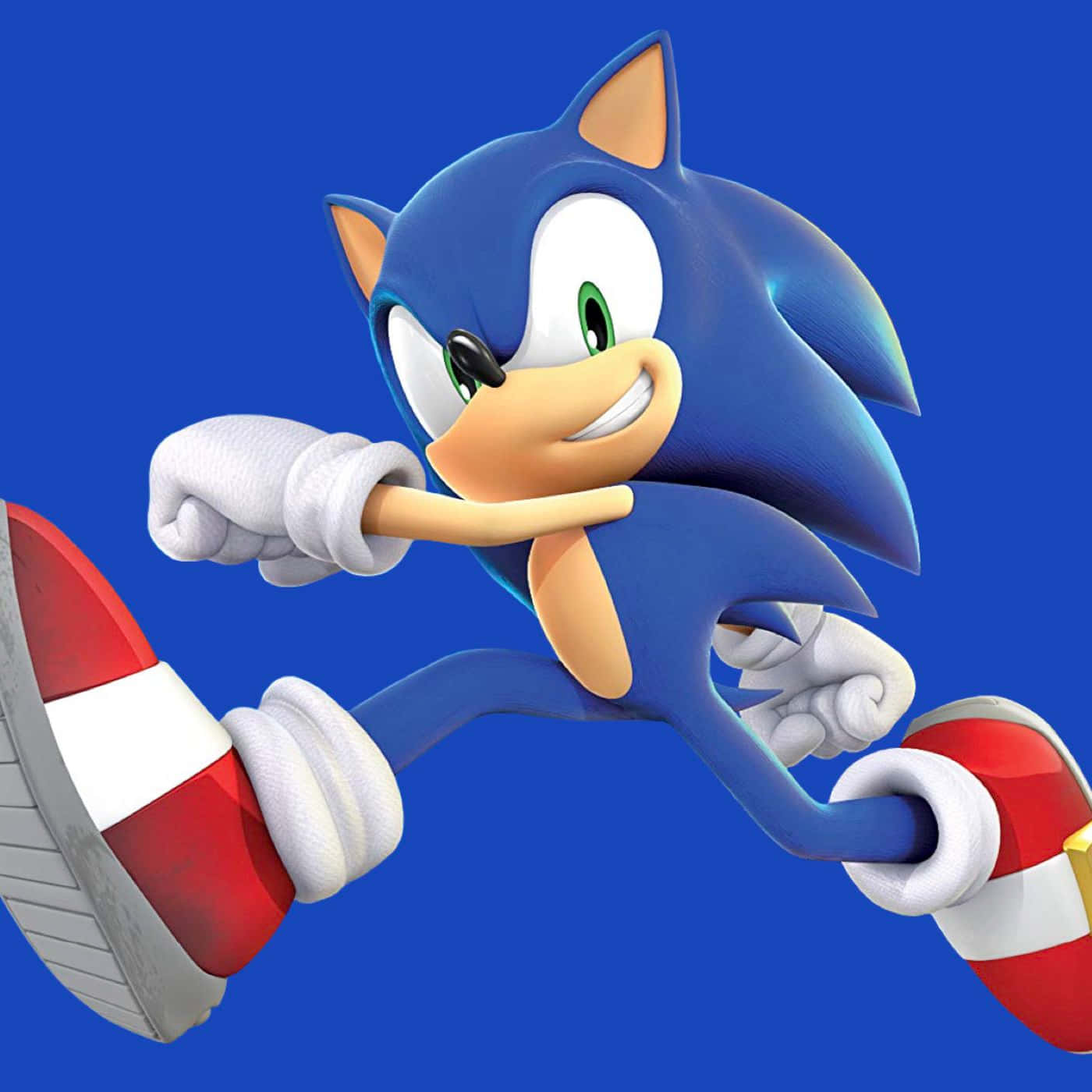 Sonic The Hedgehog Sonic The Hedgehog