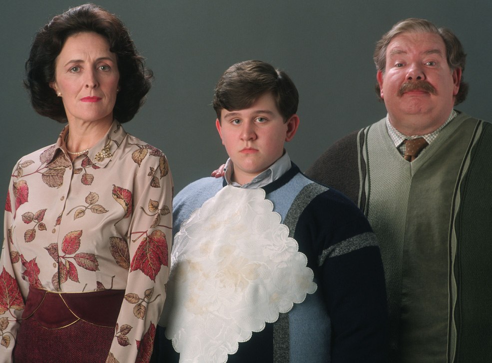 Harry Potter And The Dursleys
