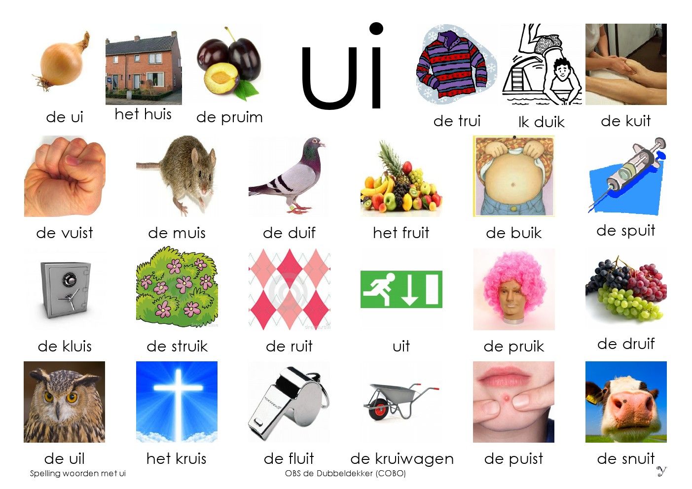 Dutch Phrases, Dutch Words, Learn Dutch, Dutch Language, Primary - Lijst Met De En Het Woorden