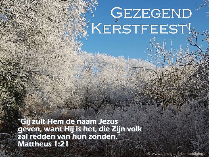 Ecard: Gezegend Kerstfeest Mattheus 1:21 Zij zal een zoon baren en gij - Behandel Mensen Zoals Jezelf Behandeld Wilt Worden