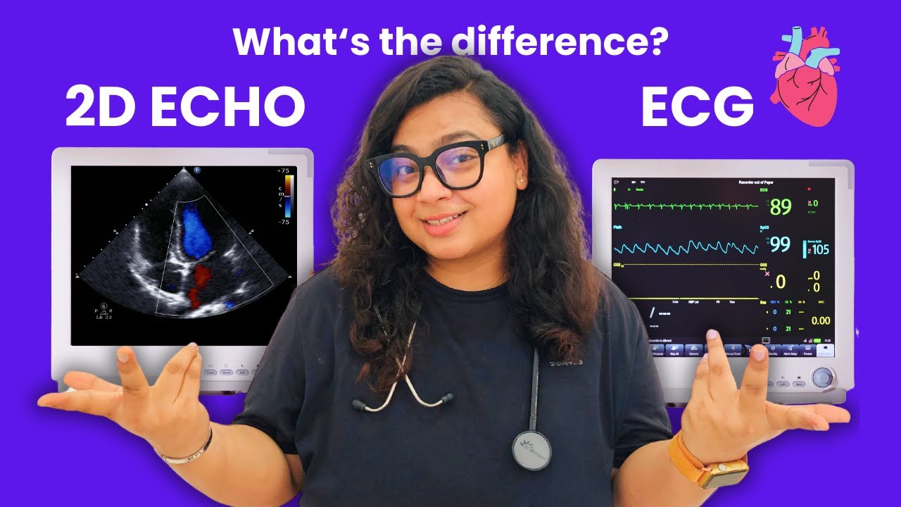 ECHOCARDIOGRAM Vs EKG: What's The Difference Anyway?, 43% OFF - Waarom Echo Van Het Hart