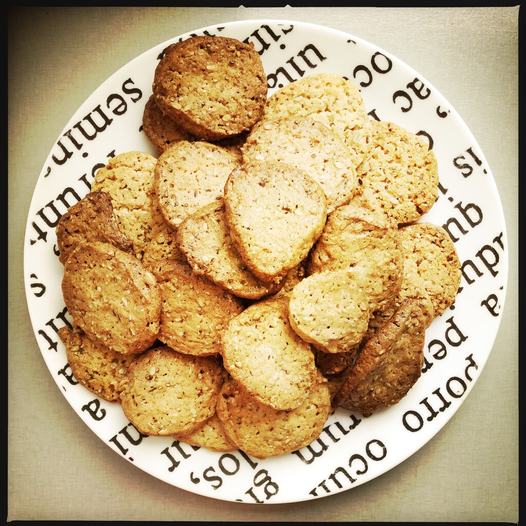 Een koekje van eigen deeg by Mek · 365 Project - Koekje Van Eigen Deeg Betekenis