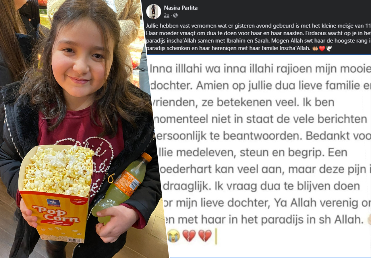 “Een moederhart kan veel aan, maar deze pijn is ondraaglijk”: moeder - Boek De Moeder Van David S