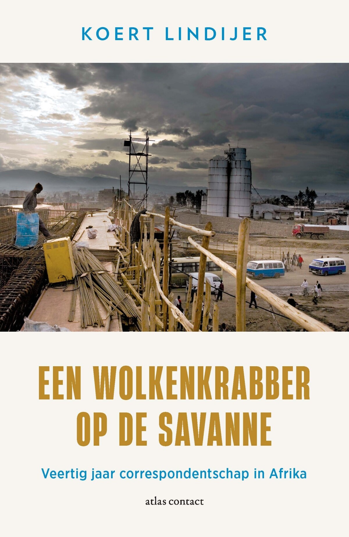 Een Wolkenkrabber Op De Savanne