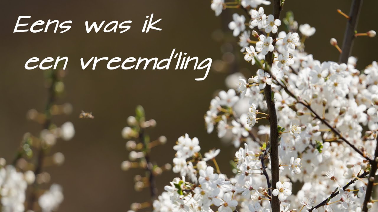 Eens Was Ik Een Vreemdeling: Mijn Ervaringen In Een Nieuwe Wereld - Eens Was Ik Een Vreemdeling