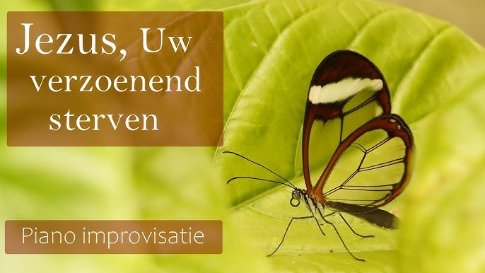 Eens Was Ik Een Vreemdeling: Mijn Ervaringen In Een Nieuwe Wereld - Eens Was Ik Een Vreemdeling