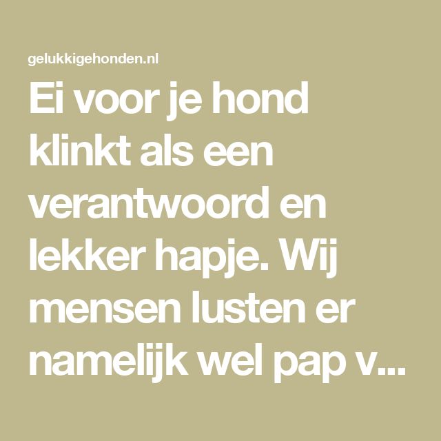 Ei voor je hond klinkt als een verantwoord en lekker hapje. Wij mensen - Daar Lusten Paarden Wel Pap Van