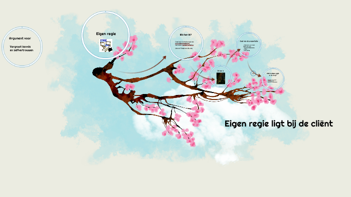 Eigen Regie In De Zorg