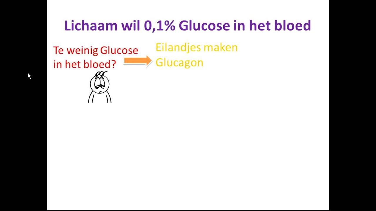 Eilandjes van Langerhans - YouTube - Eilandjes Van Langerhans Diabetes Type 2