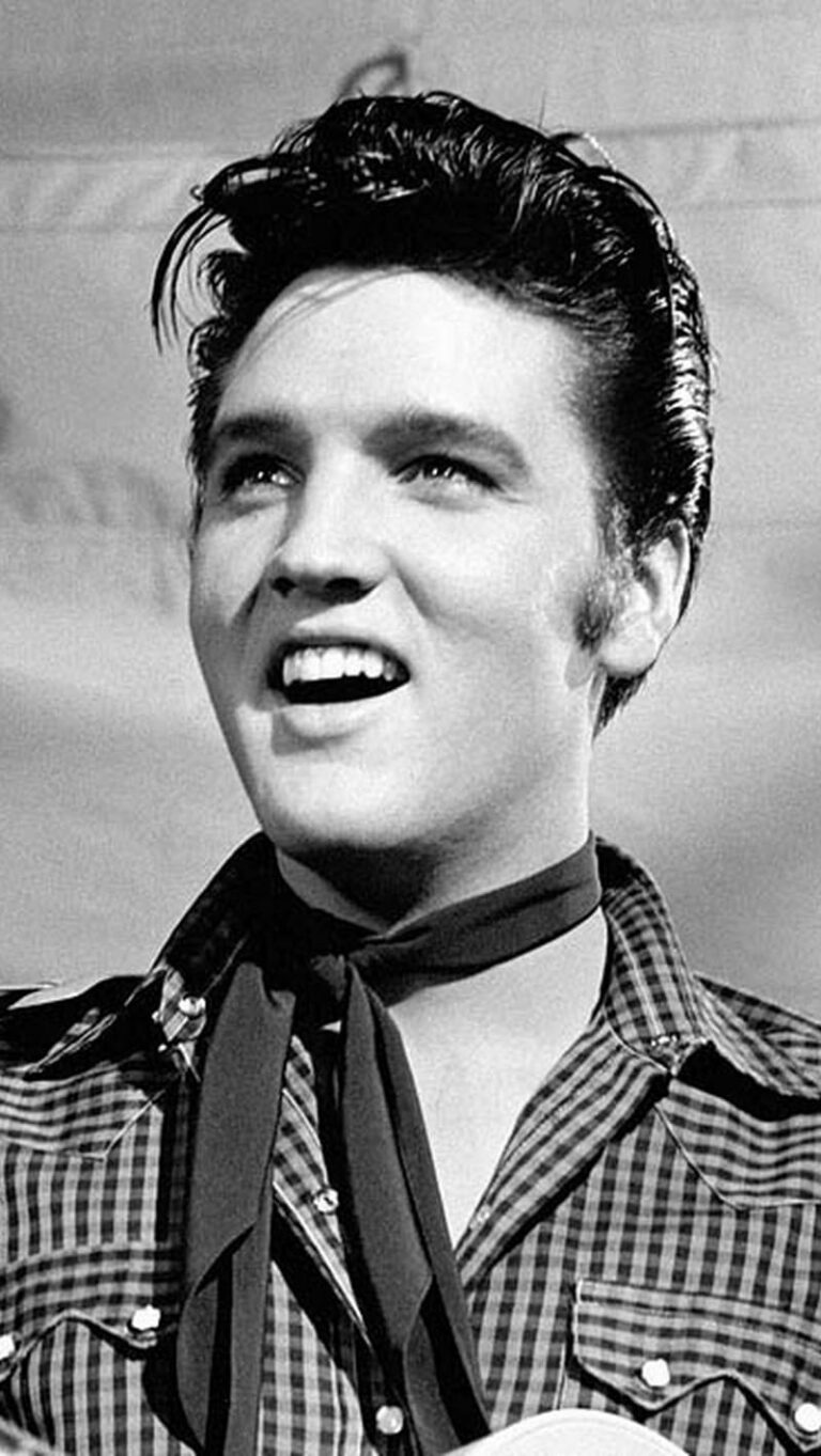 Elvis Presley The Wonder Of You Songteksten