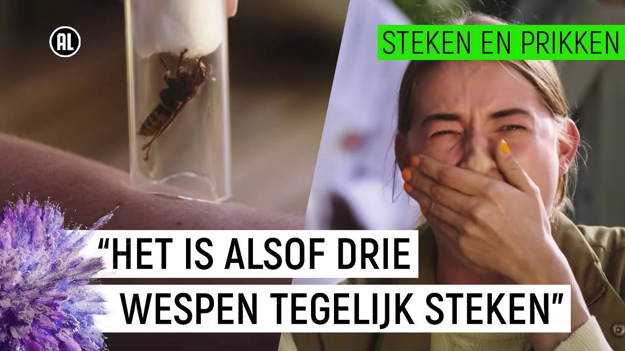 EMMA WORDT GESTOKEN DOOR EEN HOORNAAR! | Steken en Prikken #8 | NPO - Hoeveel Keer Kan Een Wesp Steken