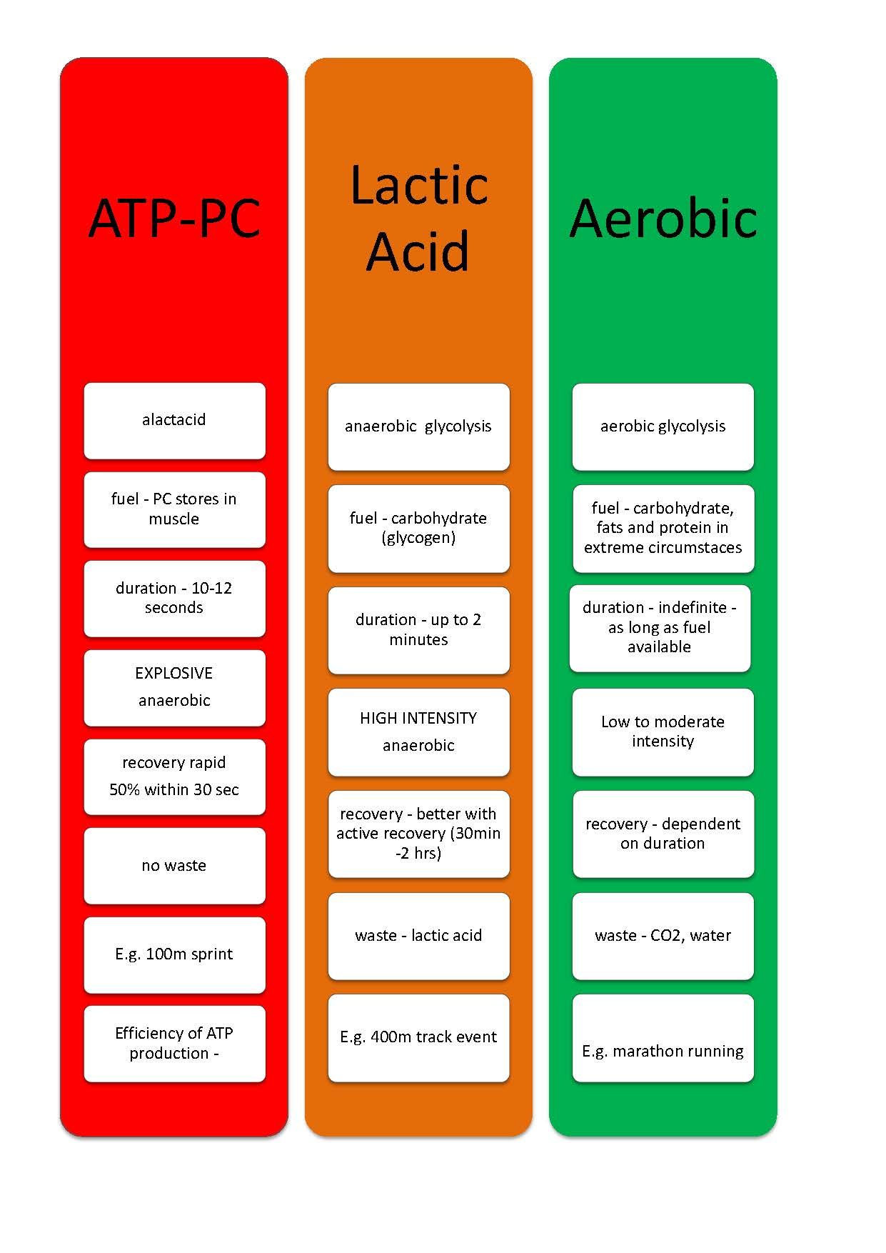 energy systems | Health and physical education, Exercise physiology - Exercise Physiology Energy Nutrition And Human Performance