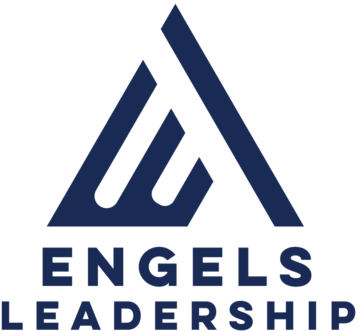 Engels Leadership - Leuk Engels Boek Havo 2