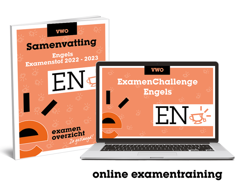 Engels Vwo 2025 - Niki Teddie - Literary Devices Engels Vwo Examen