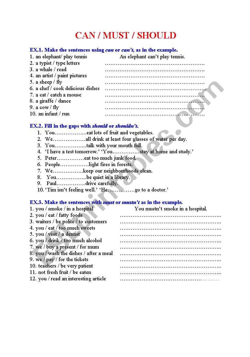 English Grammar For Kids, English Grammar Rules, Grammar And Vocabulary - Should Must Have To Exercises