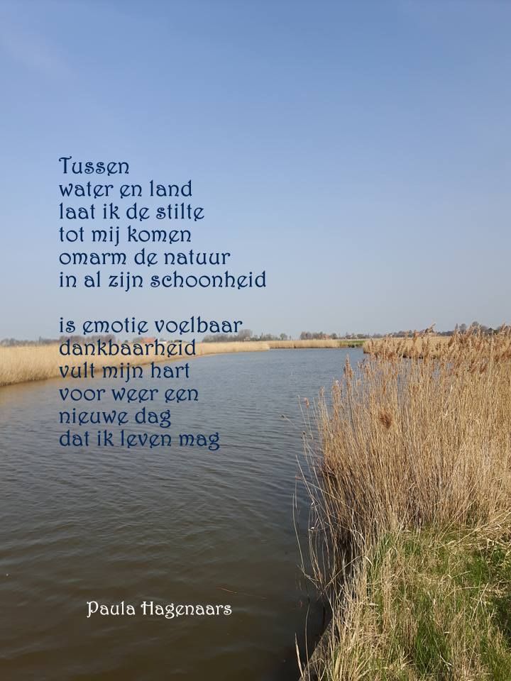 épinglé par CM ⊱Gedichten Paula Hagenaars Cleene Hooge | Gedichten - Laatste Gedicht Van Een Dichter