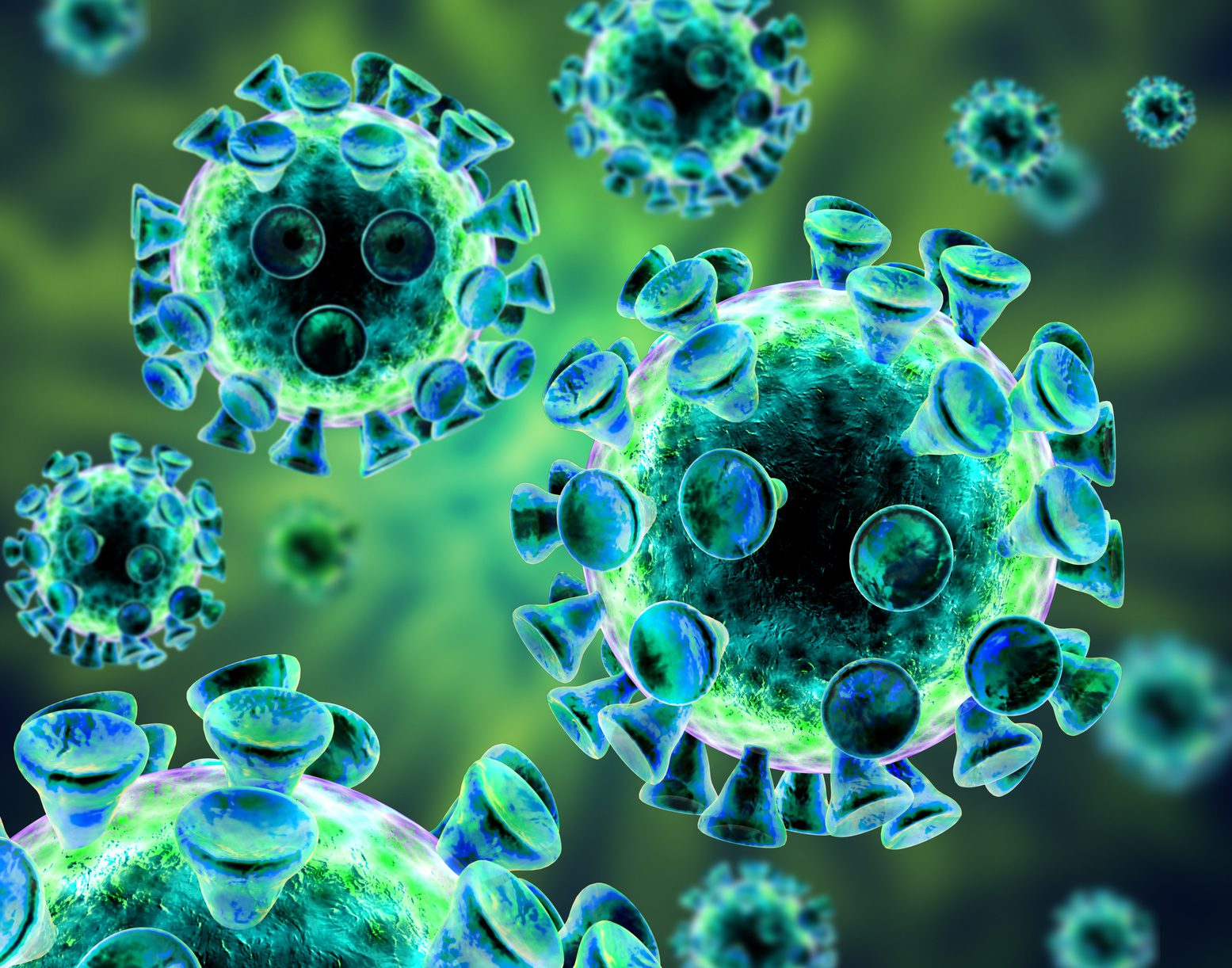 Epstein Barr virus (EBV): scheda virologica ed approfondimenti - Ebv Vca Igg Positief Grijze Zone