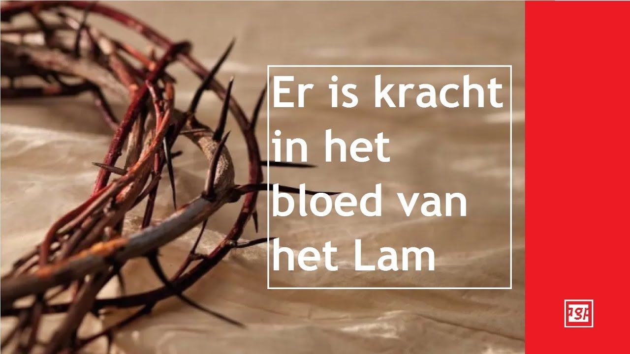 Kracht In Het Bloed