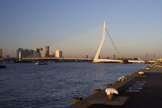 Erasmusbrug, Rotterdam, UN Studio | Architectuurgids - Hoe Heet De Architect Van De Erasmusbrug In Rotterdam