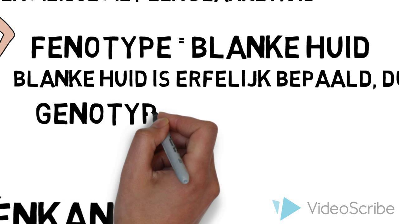Erfelijkheid: genotype en fenotype - YouTube - Wat Is Het Fenotype Van Een Organisme