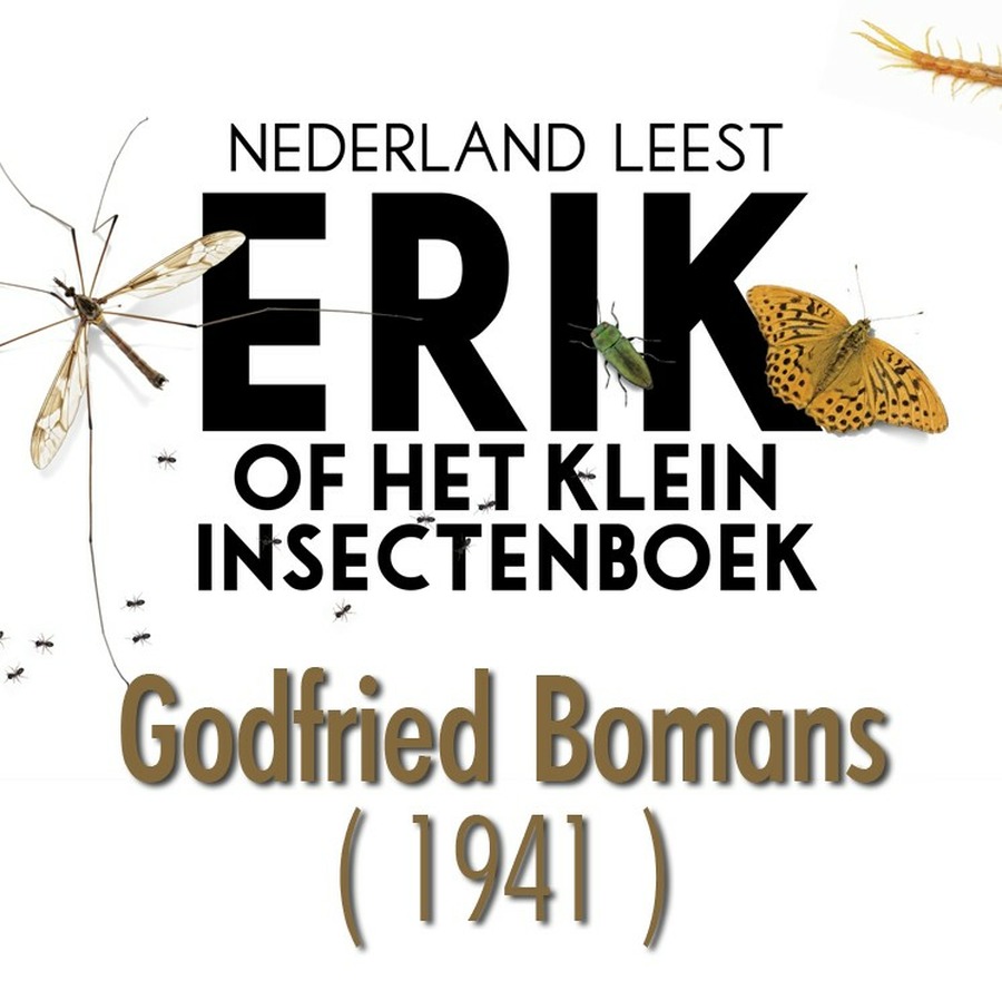 Erik of het klein insectenboek : Free Download, Borrow, and Streaming - Samenvatting Erik Of Het Klein Insectenboek