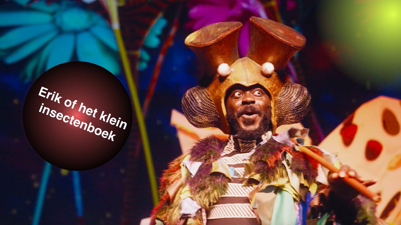 Samenvatting Erik Of Het Klein Insectenboek
