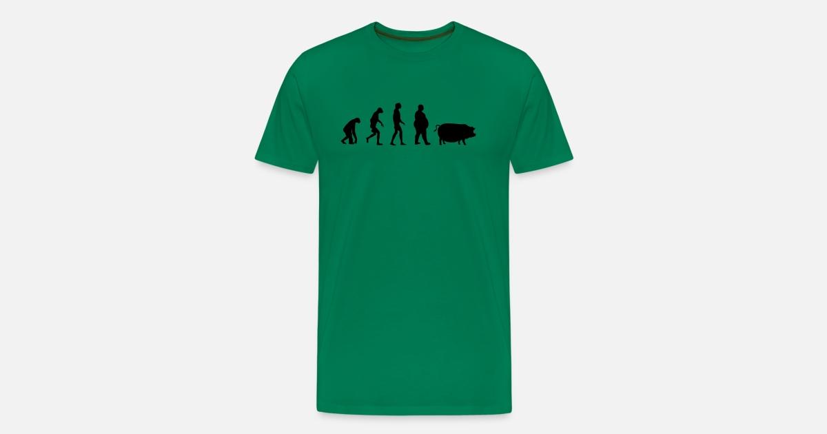 Evolutie Van Aap Tot Mens