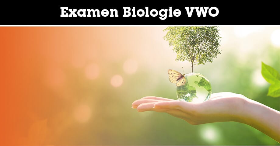 Examen Biologie VWO: Wat Moet Je Weten? (2025) - Biologie Examen Vwo Per Onderwerp