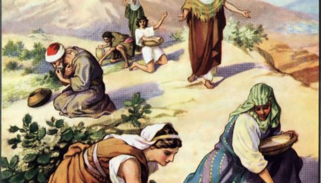 Exodus 16 Hungry for Bread | If I Walked With Jesus - Manna Exodus 16 1-35